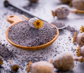 Poppy Seeds